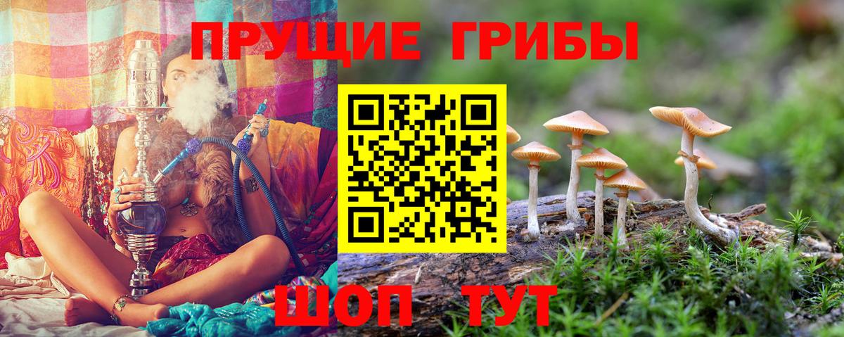 Галлюциногенные грибы Psilocybe  Вход с VPN  Галлюциногенные грибы Magic Shrooms  Тюмень 
